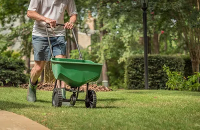 Fertilization & Weed Control