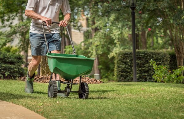 Lawn fertilization and weed control in Southlake TX