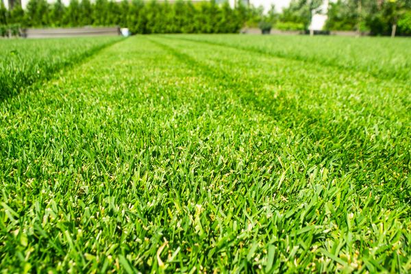 Lawn care and landscaping services in Grapevine, TX