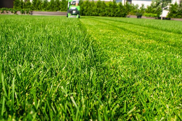 Lawn care and landscaping services in Colleyville, TX
