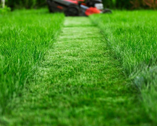 Lawn care and landscaping services in Roanoke, TX