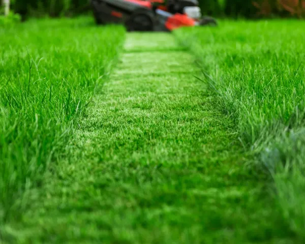 Lawn mowing service in Southlake TX