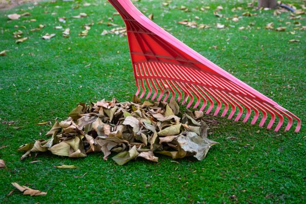 Leaf removal service in Southlake TX