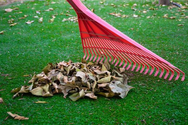 Leaf removal service in Southlake TX