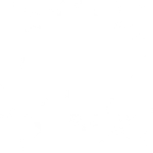 Backyard Boys Outdoor Contracting