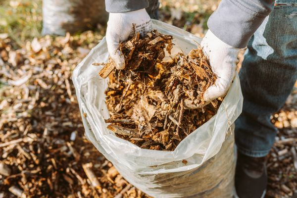 Mulch installation and bed maintenance in Southlake TX