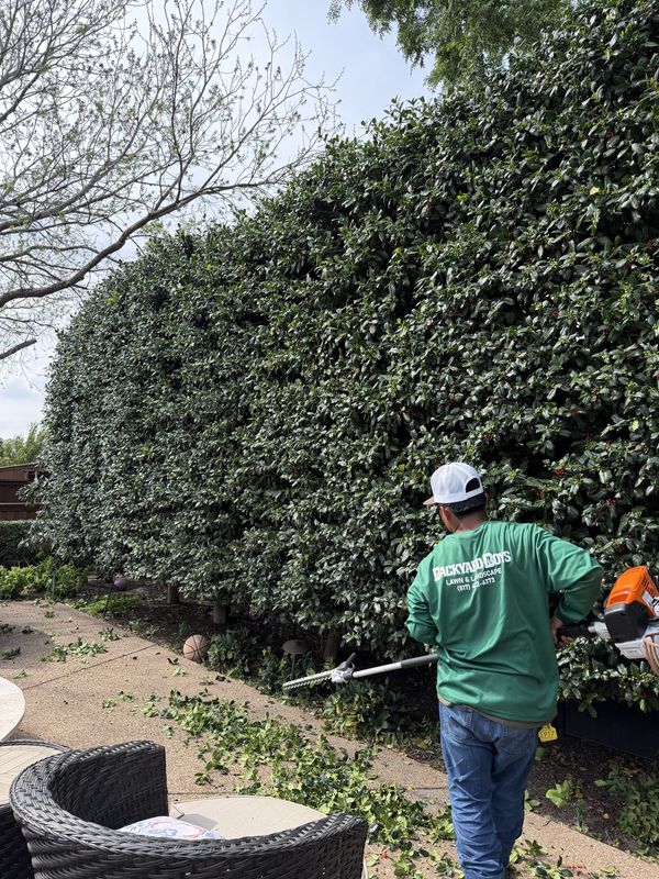 Tree and shrub trimming service in Southlake TX