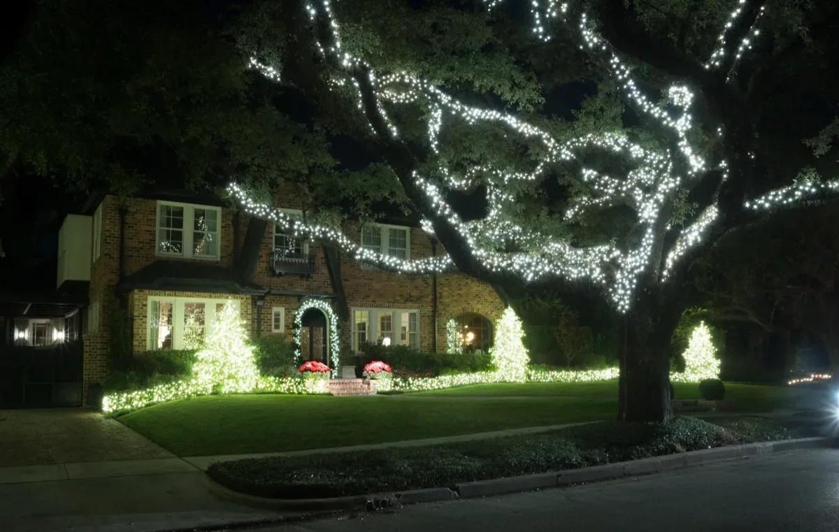 Christmas Light Installation
