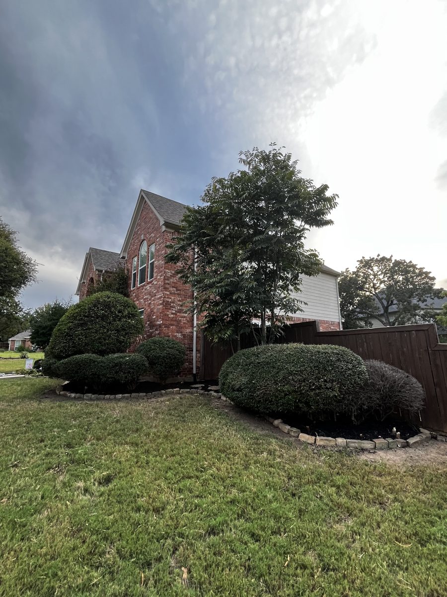 Brick home with manicured shrubs, trimmed bushes, and a clean-edged lawn