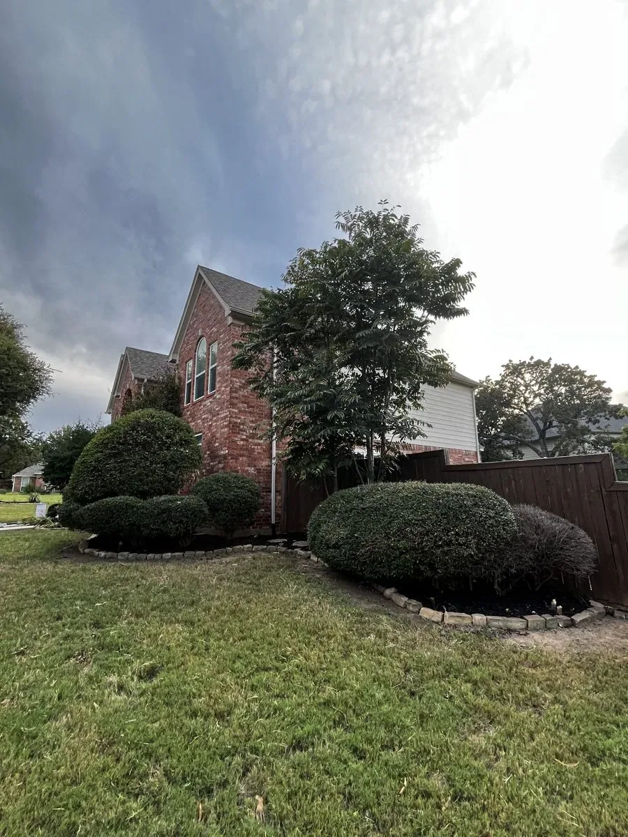 Brick home with manicured shrubs, trimmed bushes, and a clean-edged lawn