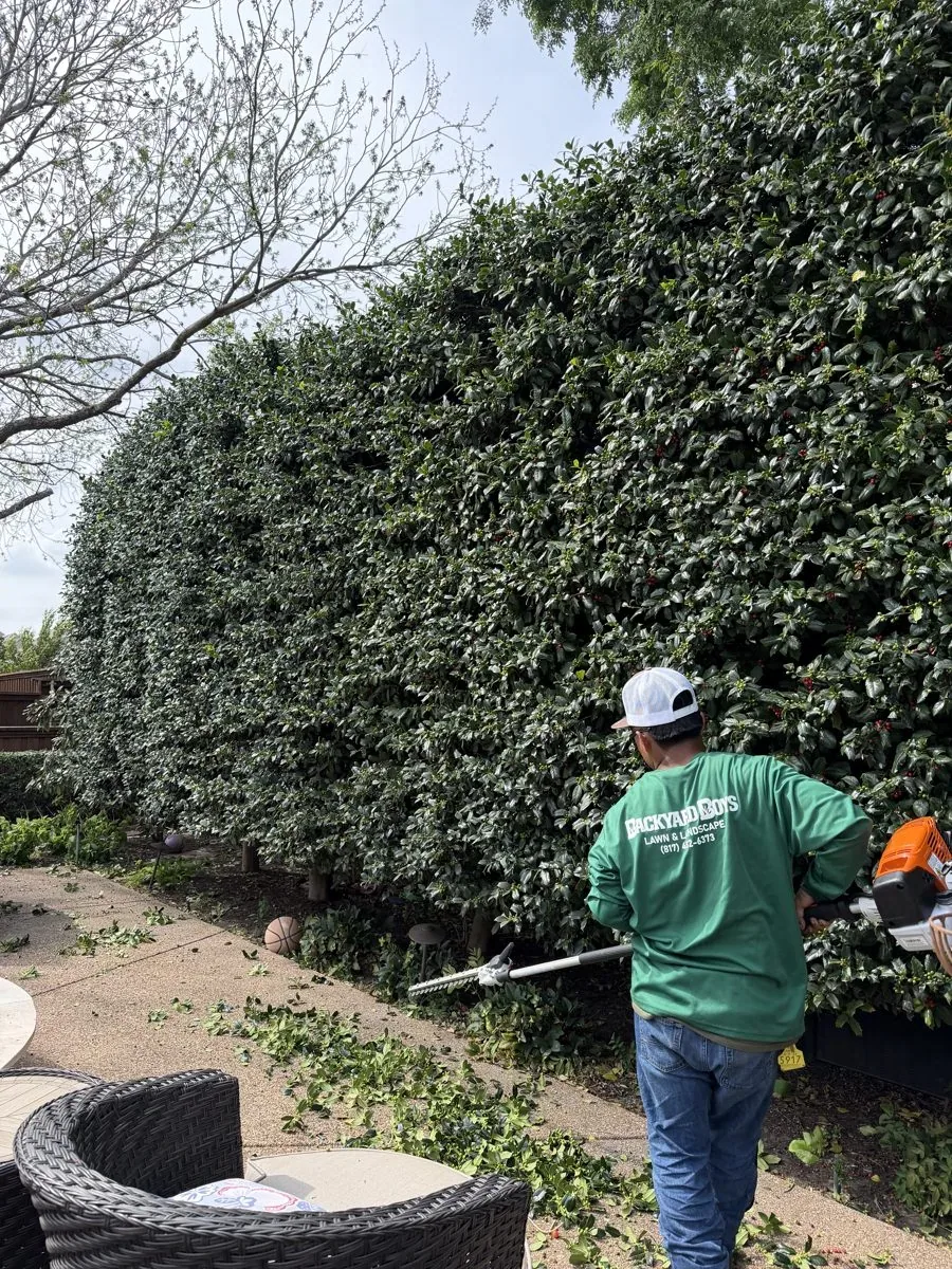Tree & Shrub Trimming